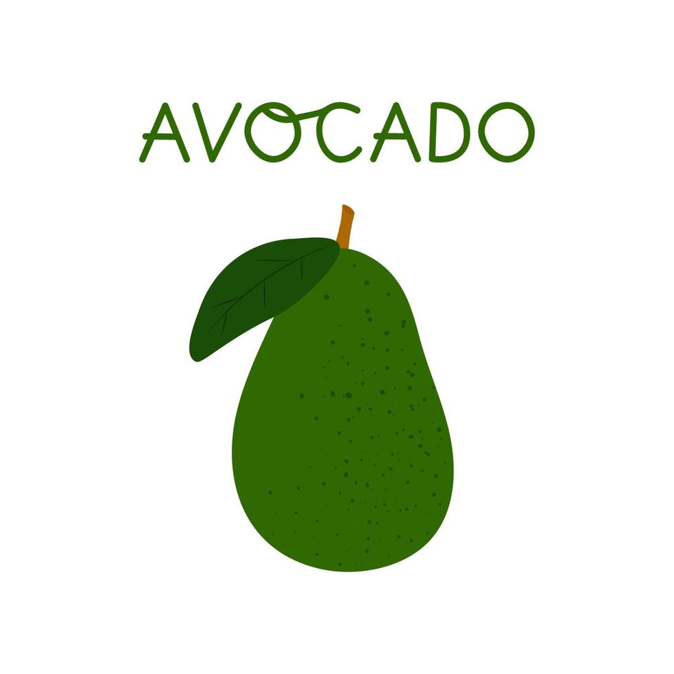 cartone animato avocado isolato vettore illustrazione su bianca sfondo