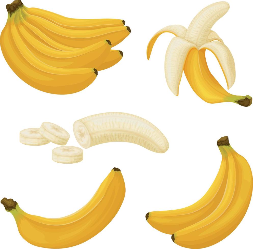 banane. Immagine di banane. banane pelato e tagliare in pezzi. tropicale frutta. vegetariano Prodotto. vettore