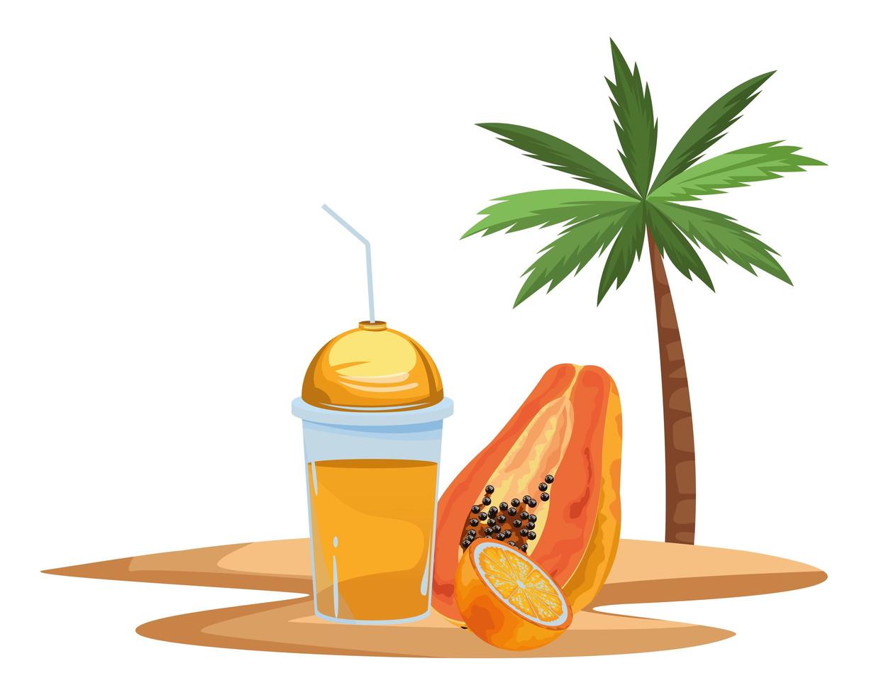 frutta tropicale e bevanda frullato vettore