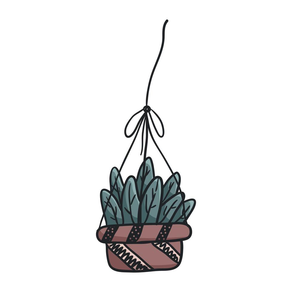 vettore scarabocchio casa cactus nel un' pentola o fioriera.