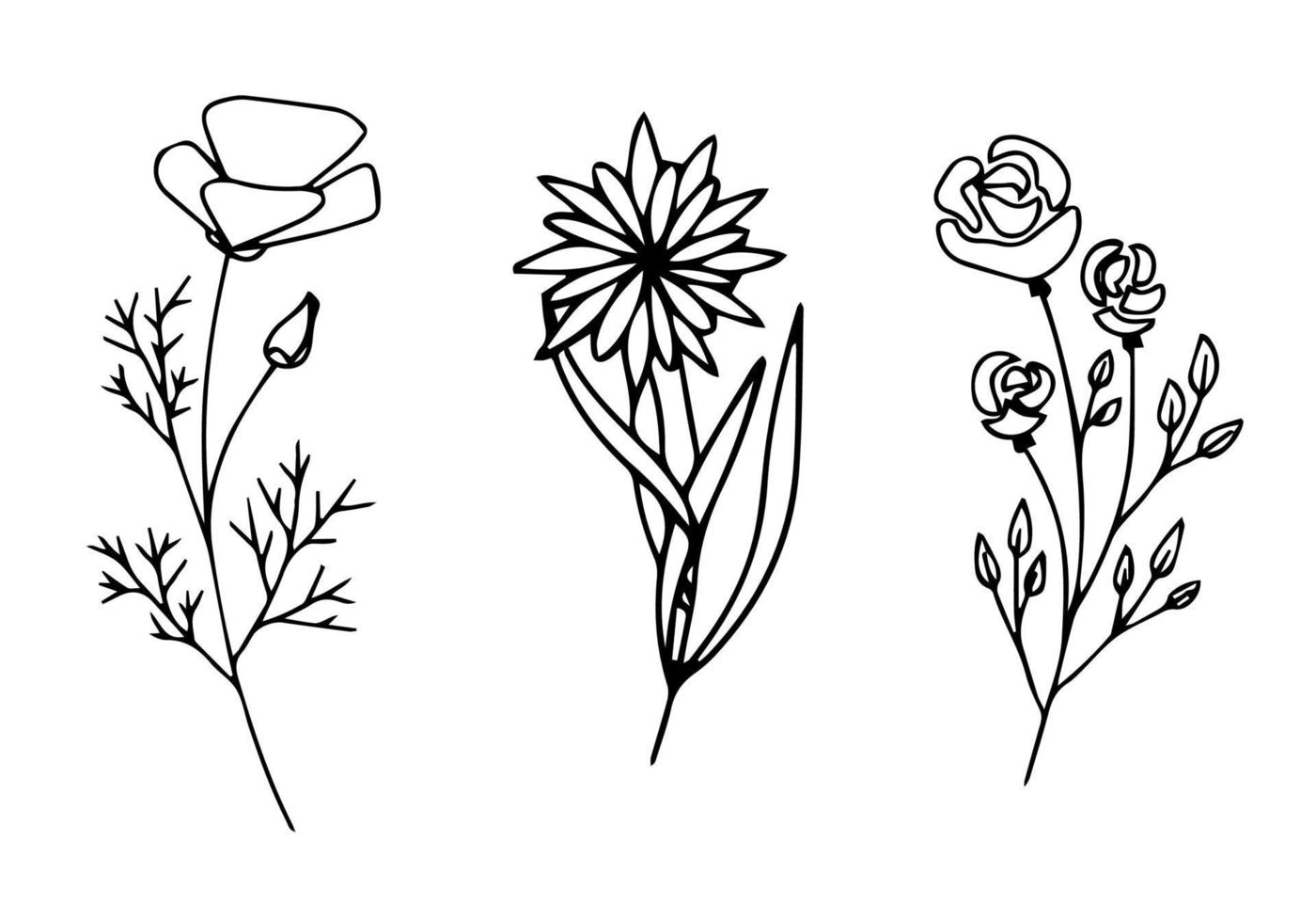 botanico scarabocchio impostare. un' mazzo di floreale ornamenti, mano disegnato con contorno Linee. elegante vettore illustrazione.