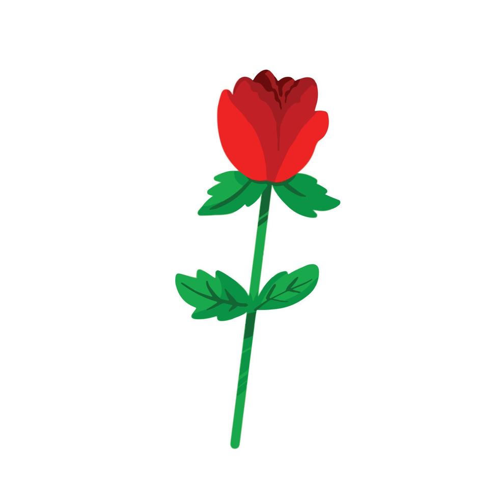 romantico singolo rosso rosa pianta vettore illustrazione isolato su bianca sfondo. fiore disegno con semplice piatto cartone animato arte stile.