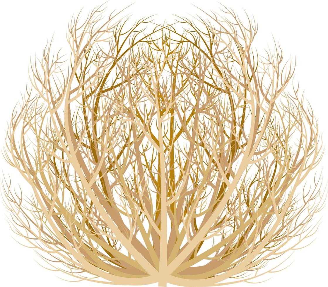 realistico Immagine di Tumbleweed asciutto pianta vettore illustrazione isolato su bianca sfondo.