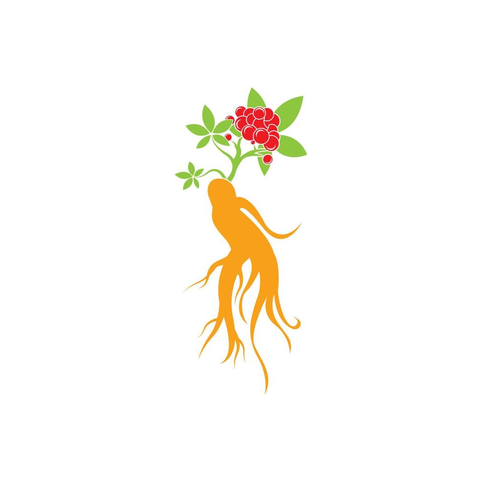 ginseng icona vettore illustrazione design logo