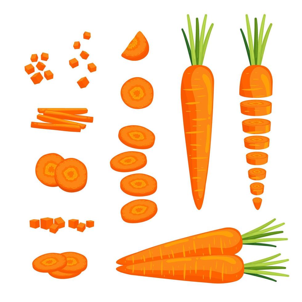 carota illustrazione elemento vettore