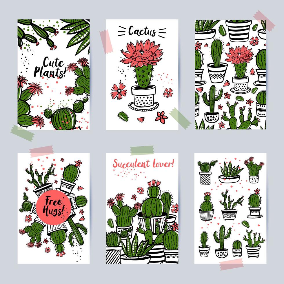 bellissime carte con cactus e piante grasse vettore