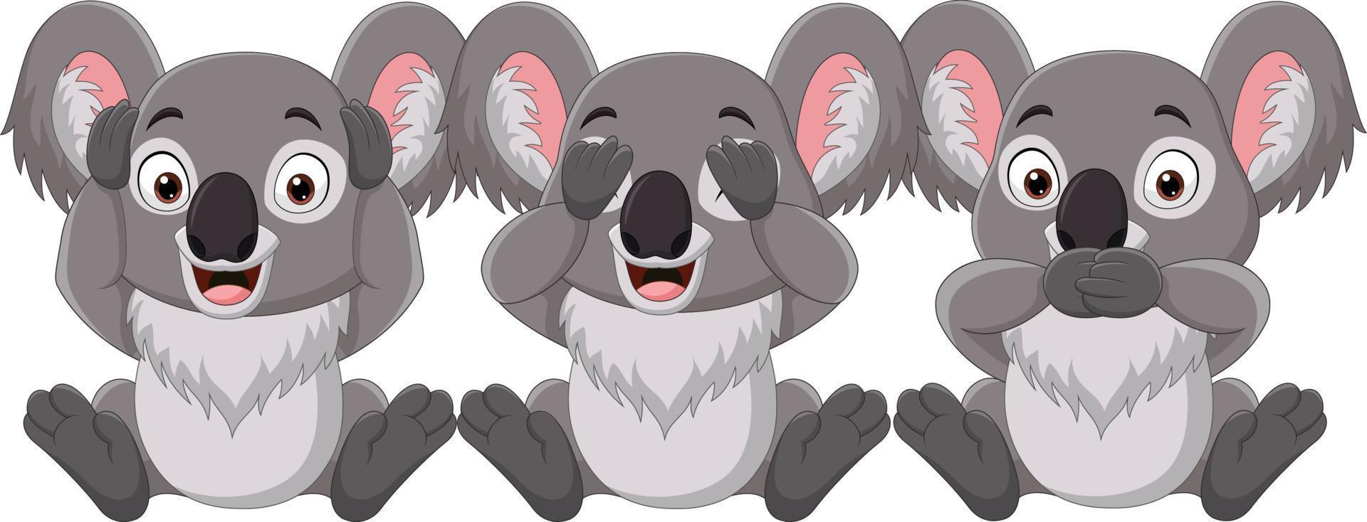 tre carino poco koala cartone animato vettore