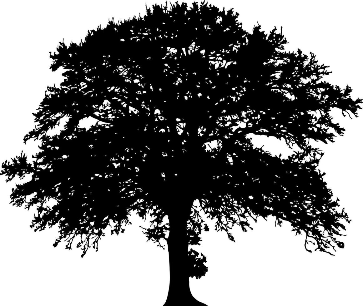 albero silhouette vettore per il sito web, per stampa. vettore grafica.