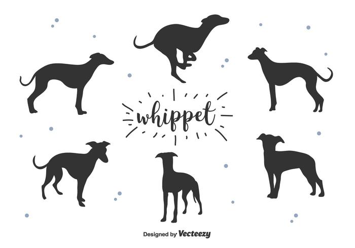 vettore silhouette whippet