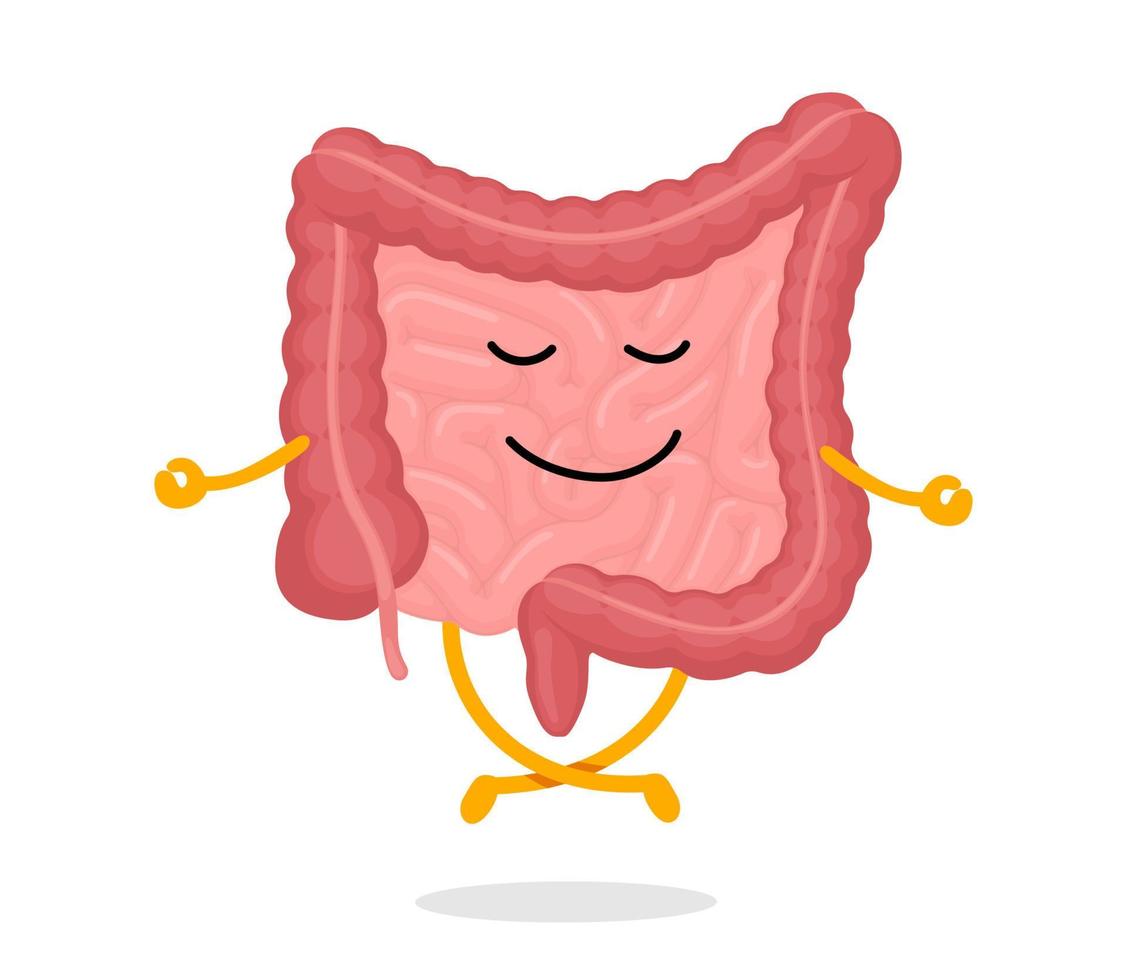 carino cartone animato salutare umano intestini personaggio rilassamento meditare. divertente intestino portafortuna meditazione nel loto yoga posa. cartone animato intestino bene condizione. digestivo interno organo intestino calma e rilassare eps vettore