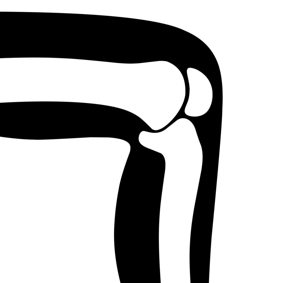 vettore illustrazione di ginocchio osso con umano gamba su bianca sfondo. collezione di umano organi. Salute cura medico cartello. design elemento per ortopedia.