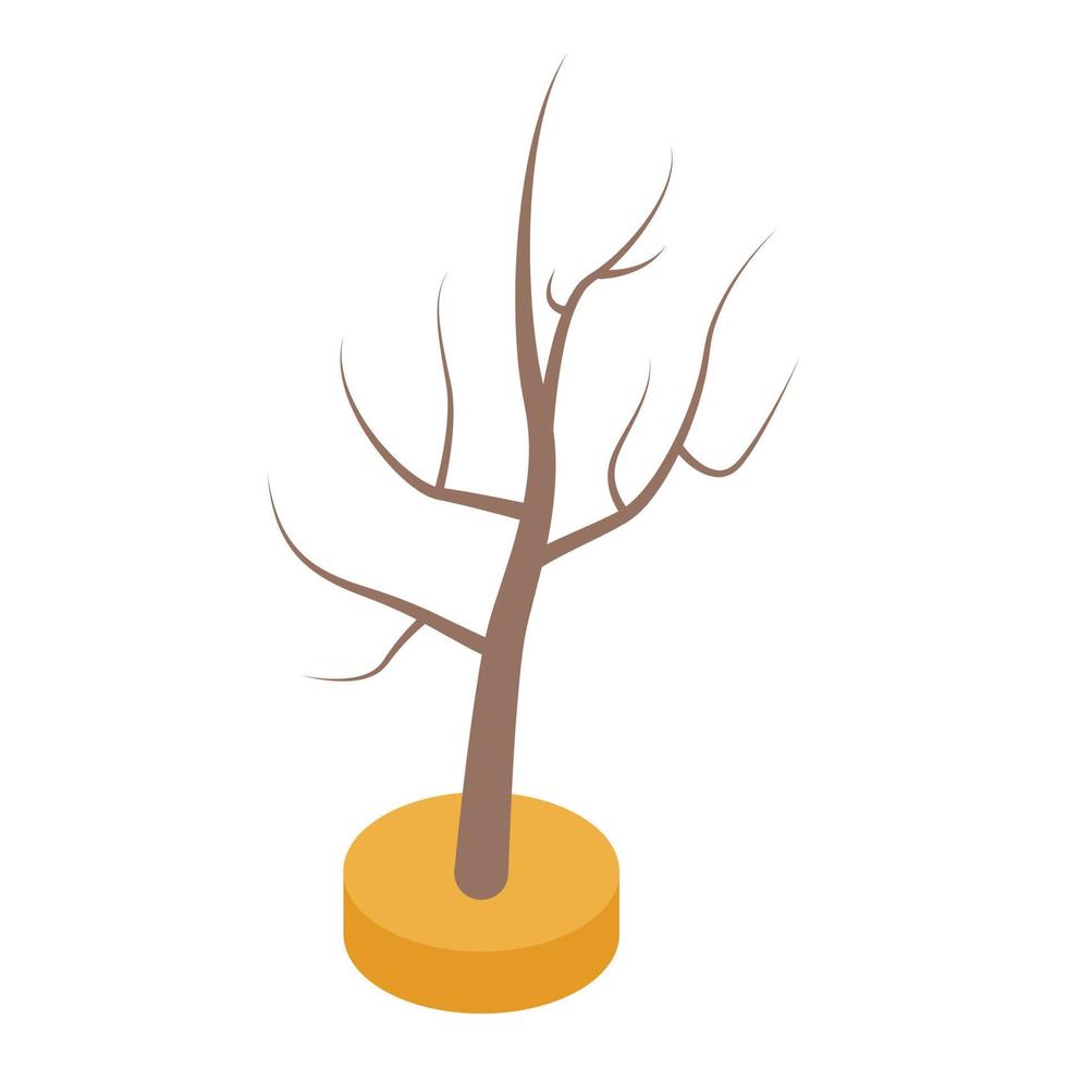 albero nel deserto icona, isometrico stile vettore