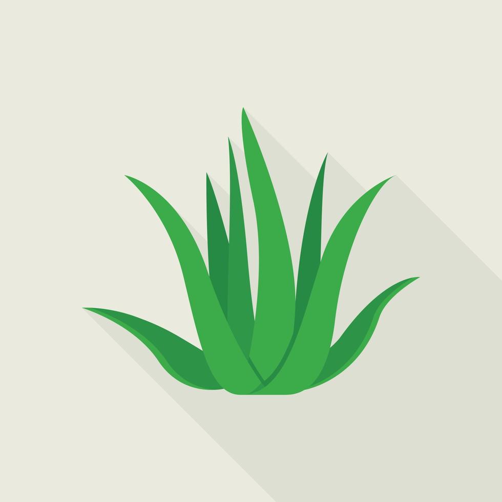 aloe Vera pianta icona, piatto stile vettore