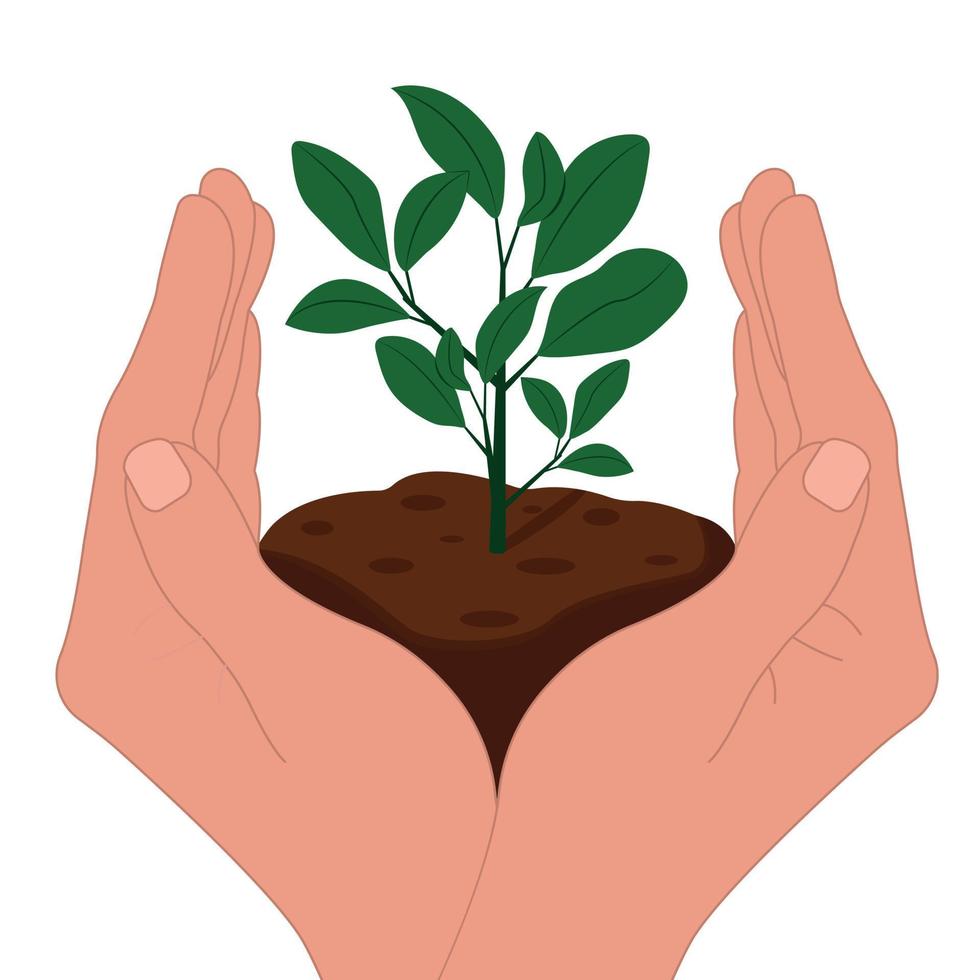 mondo suolo giorno è tenuto annualmente su dicembre 5. un' mano detiene un' verde pianta. rimboschimento, rimboschimento, albero piantare, ambiente giorno.piatto vettore illustrazione