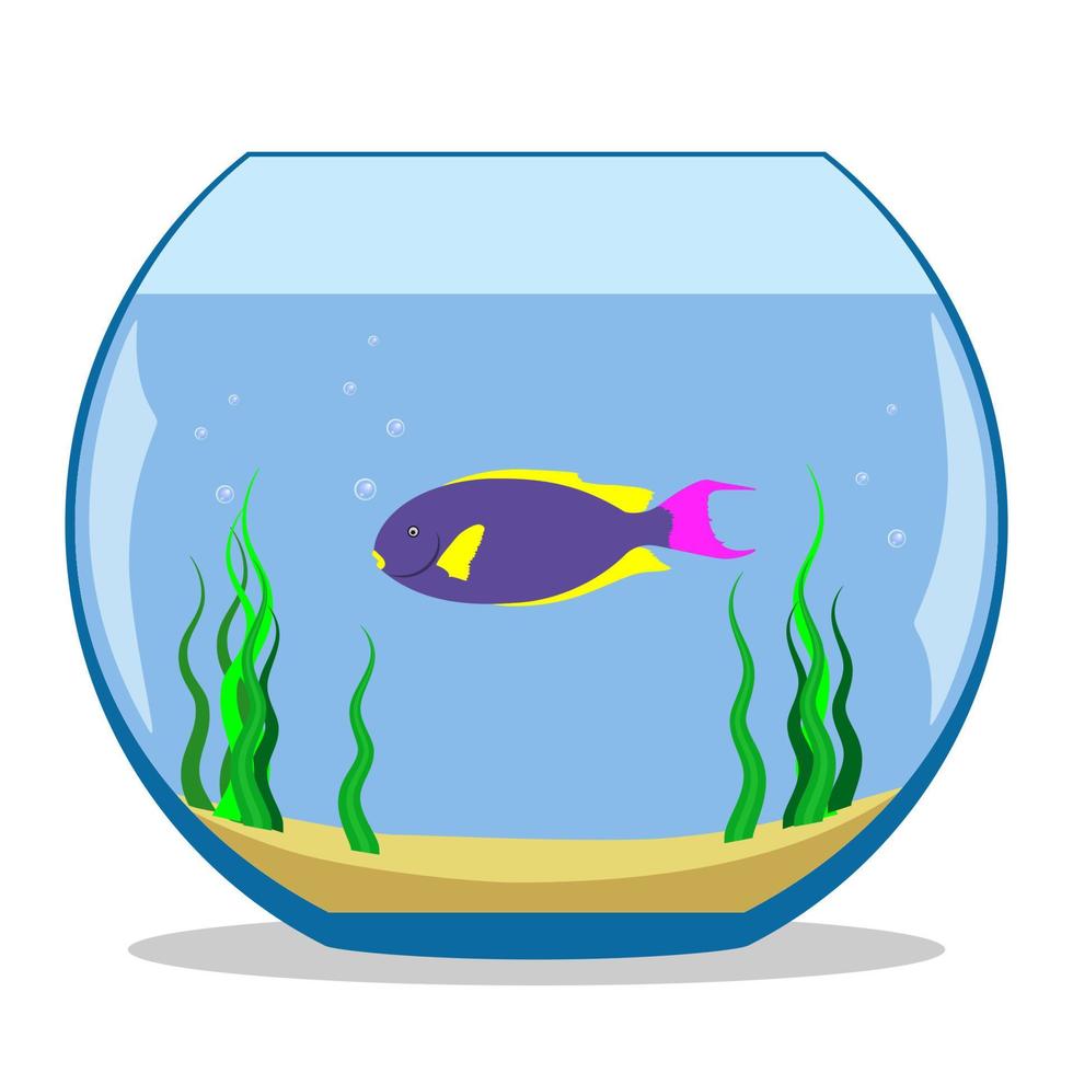 colorato esotico pesce nel un' acquario con alga marina e sabbia su il parte inferiore. vettore illustrazione, piatto.