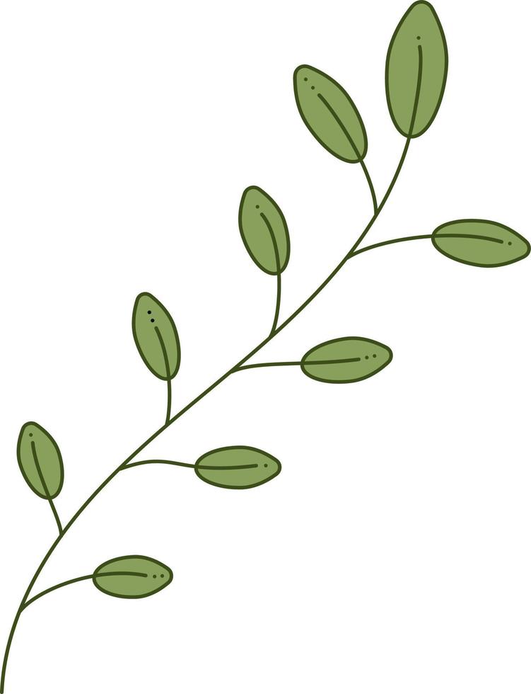 ramo con le foglie. scarabocchio colore ramo con parecchi le foglie. cartone animato vettore illustrazione.