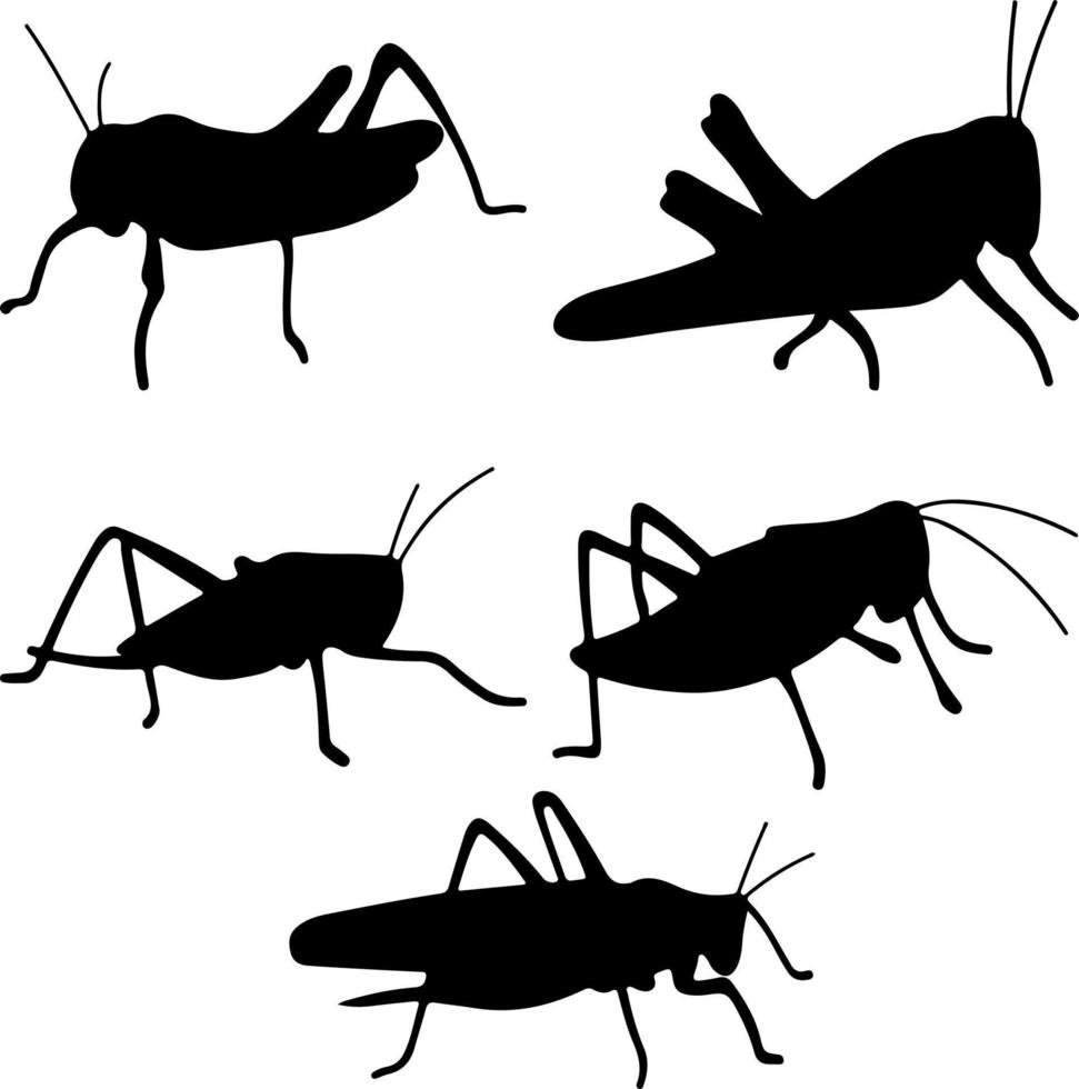 scarafaggio silhouette vettore per siti web, grafica relazionato opera d'arte