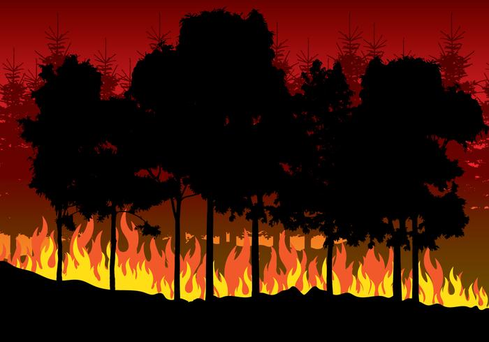illustrazione di incendi boschivi vettore