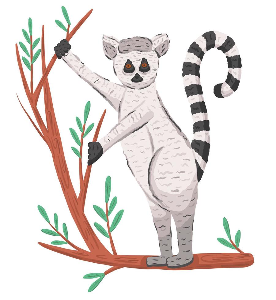 squillare coda lemure su ramo vettore