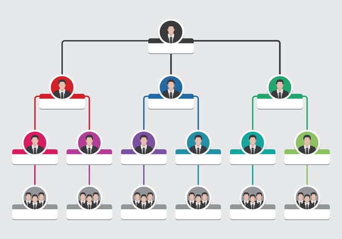 Organigramma Infografica vettore