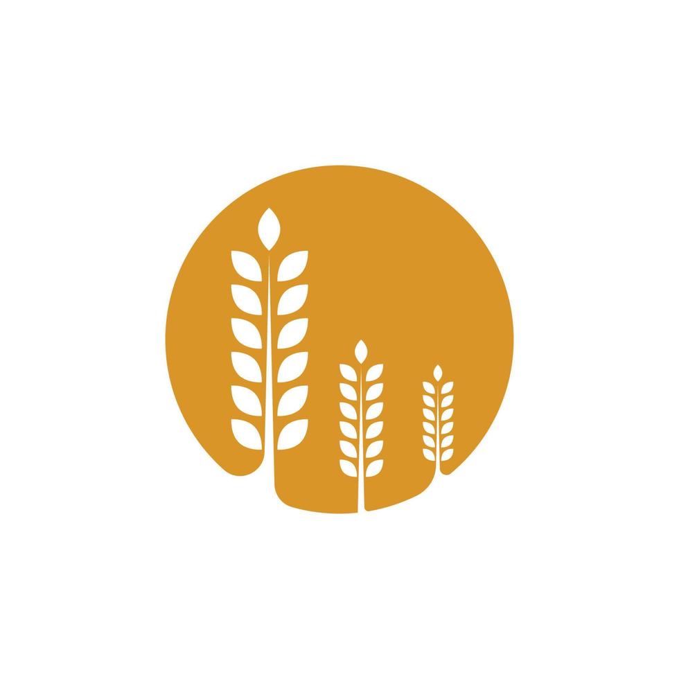 vettore di grano agricolo