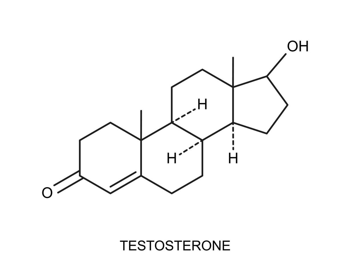 testosterone icona. chimico molecolare struttura. steroide sesso ormone cartello vettore