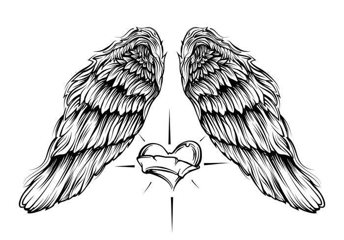 Angel Wings with Heart Vector