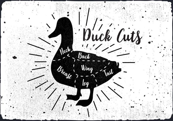 Duck Cuts Vector Background gratuito