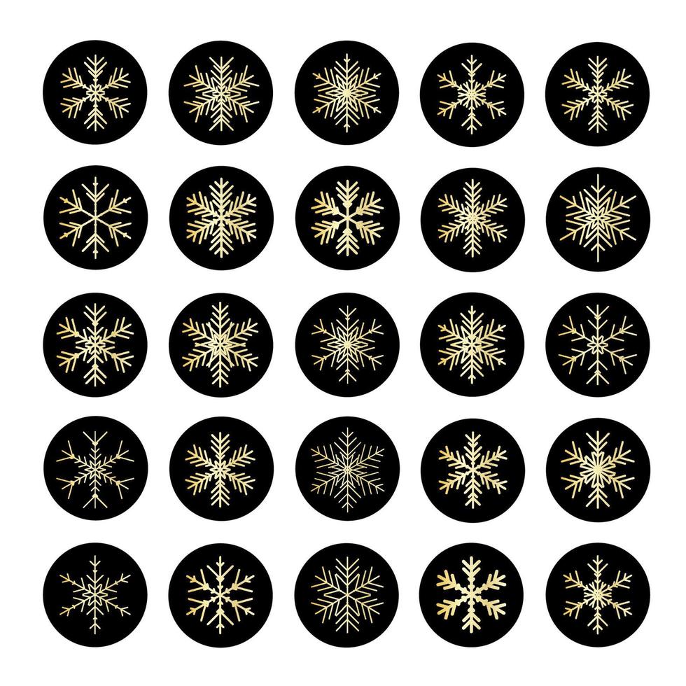 vettore impostato di vario i fiocchi di neve icone. illustrazione per ragnatela