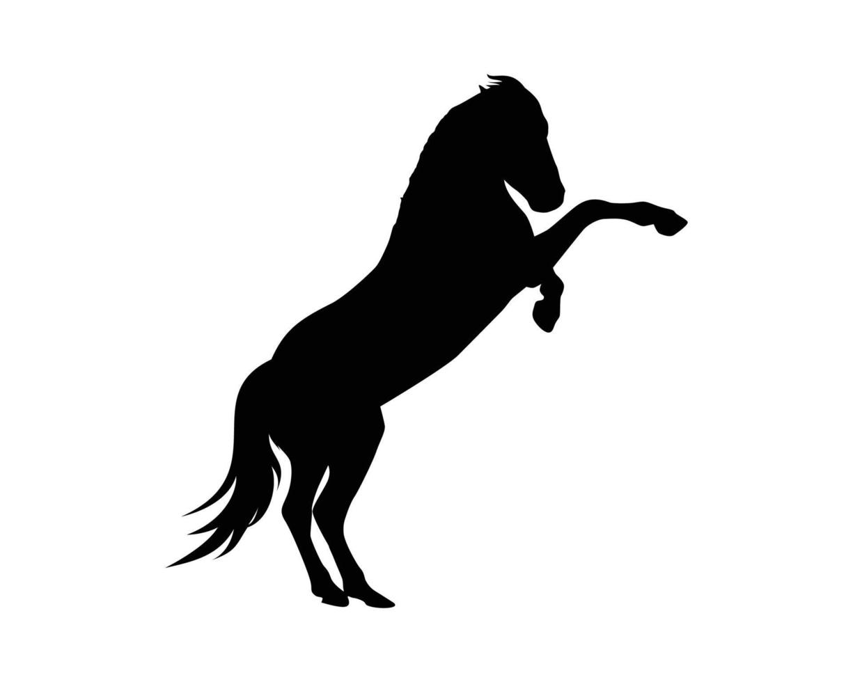 cavallo silhouette vettore modello
