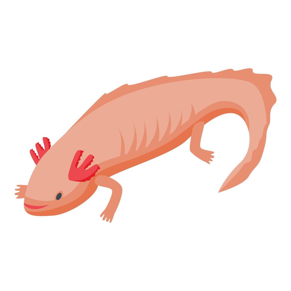Axolotl lucertola icona, isometrico stile vettore