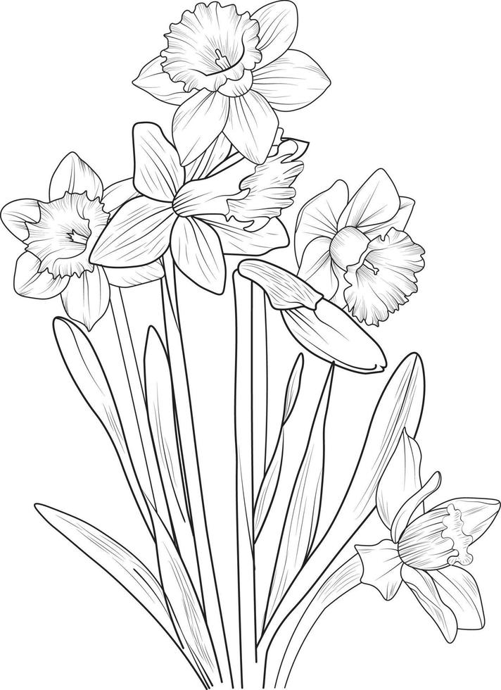 isolato narciso fiore mano disegnato vettore schizzo illustrazione, botanico collezione ramo di foglia mini cuffie naturale collezione colorazione pagina floreale mazzi di fiori inciso inchiostro arte.