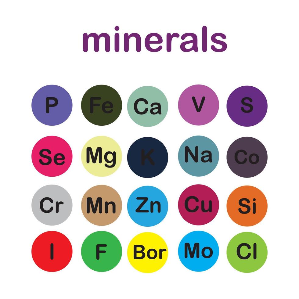 minerali microelementi e macro elementi, utile per umano Salute. fondamenti di salutare mangiare e salutare stili di vita. vettore