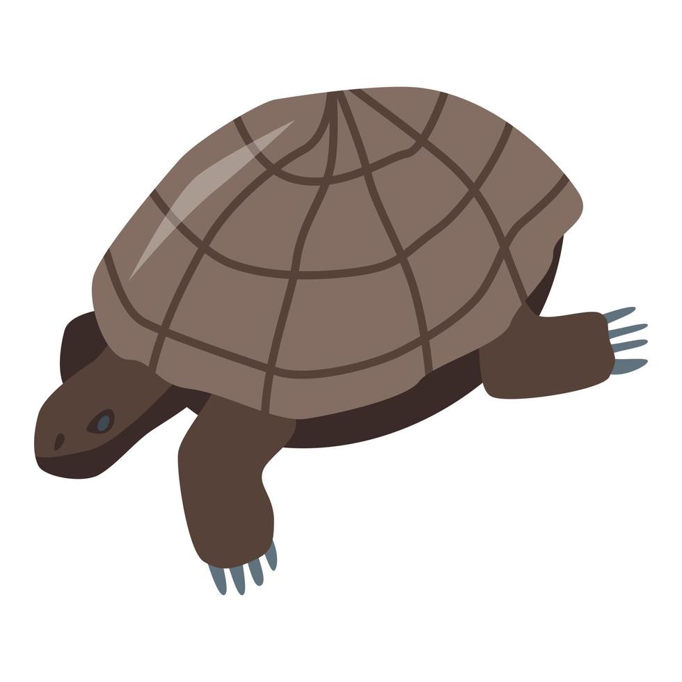 Marrone tartaruga icona, isometrico stile vettore