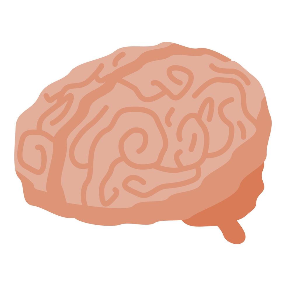 umano cervello icona, isometrico stile vettore