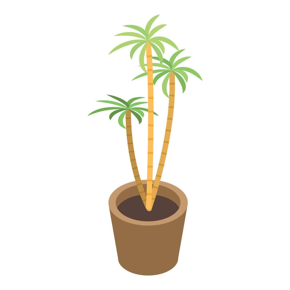 pianta della casa palma albero icona, isometrico stile vettore