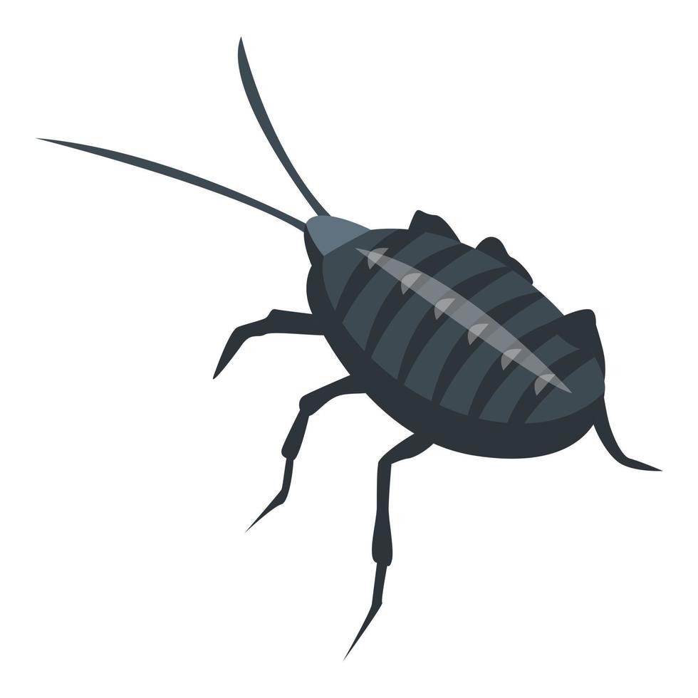biologia scarafaggio icona, isometrico stile vettore