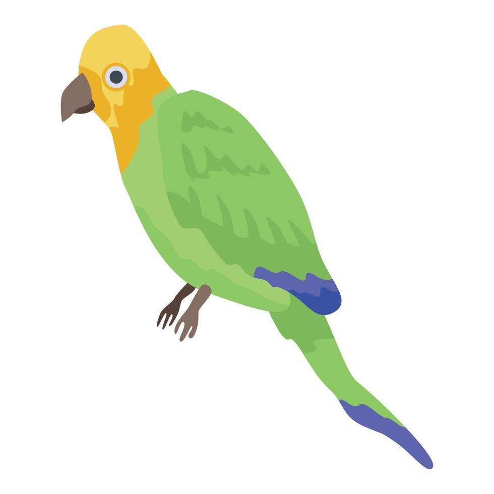 pirata pappagallo icona, isometrico stile vettore