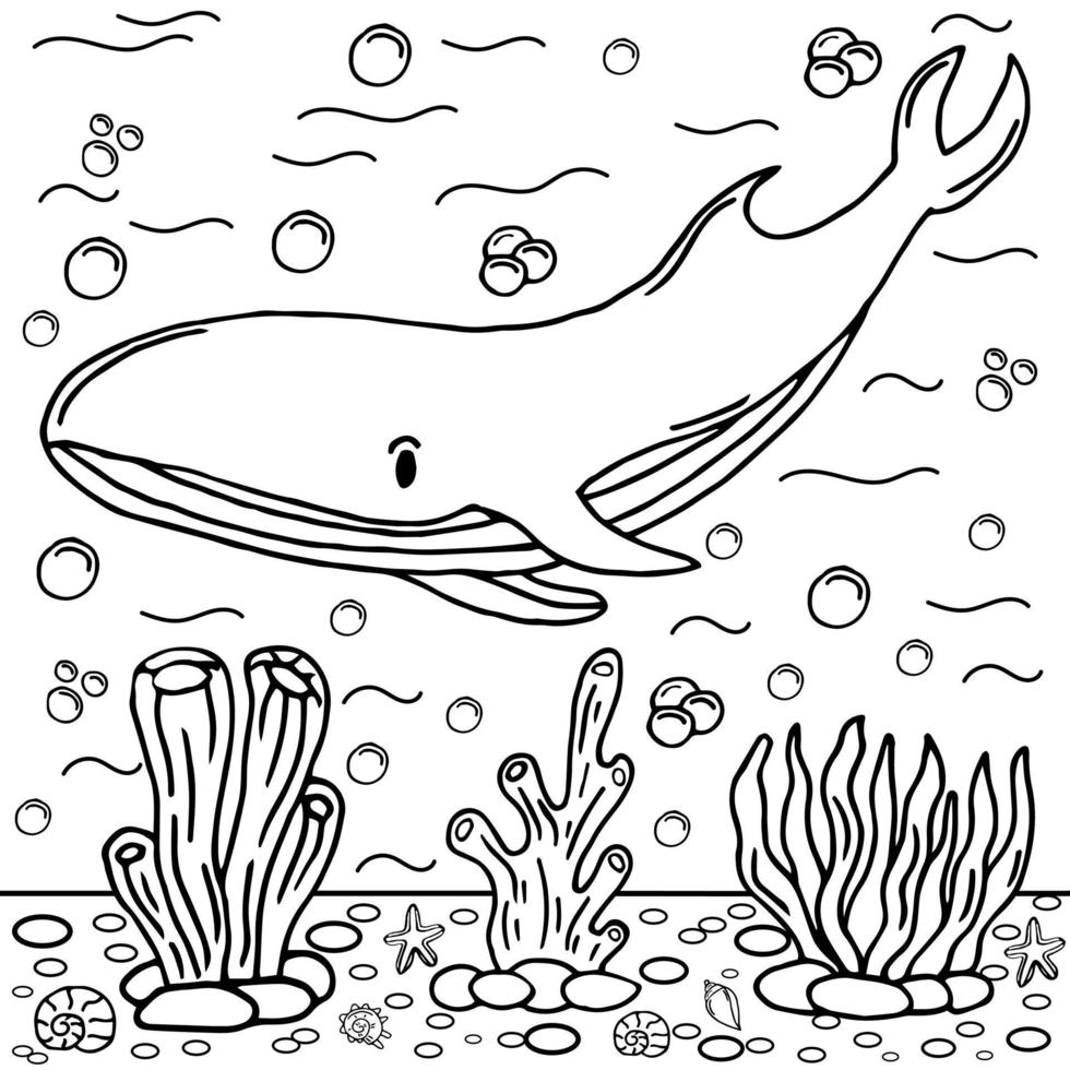 illustrazione colorata della pagina di colorazione della balena vettore