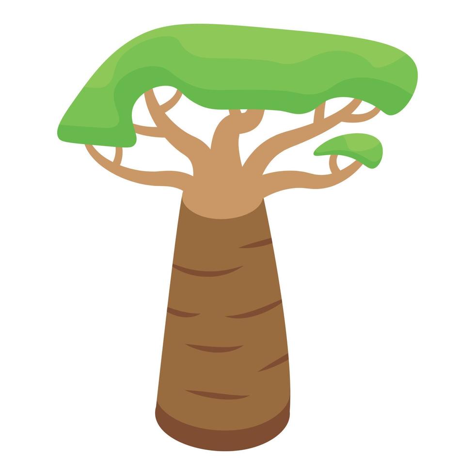 baobab safari albero icona isometrico vettore. africano seme vettore