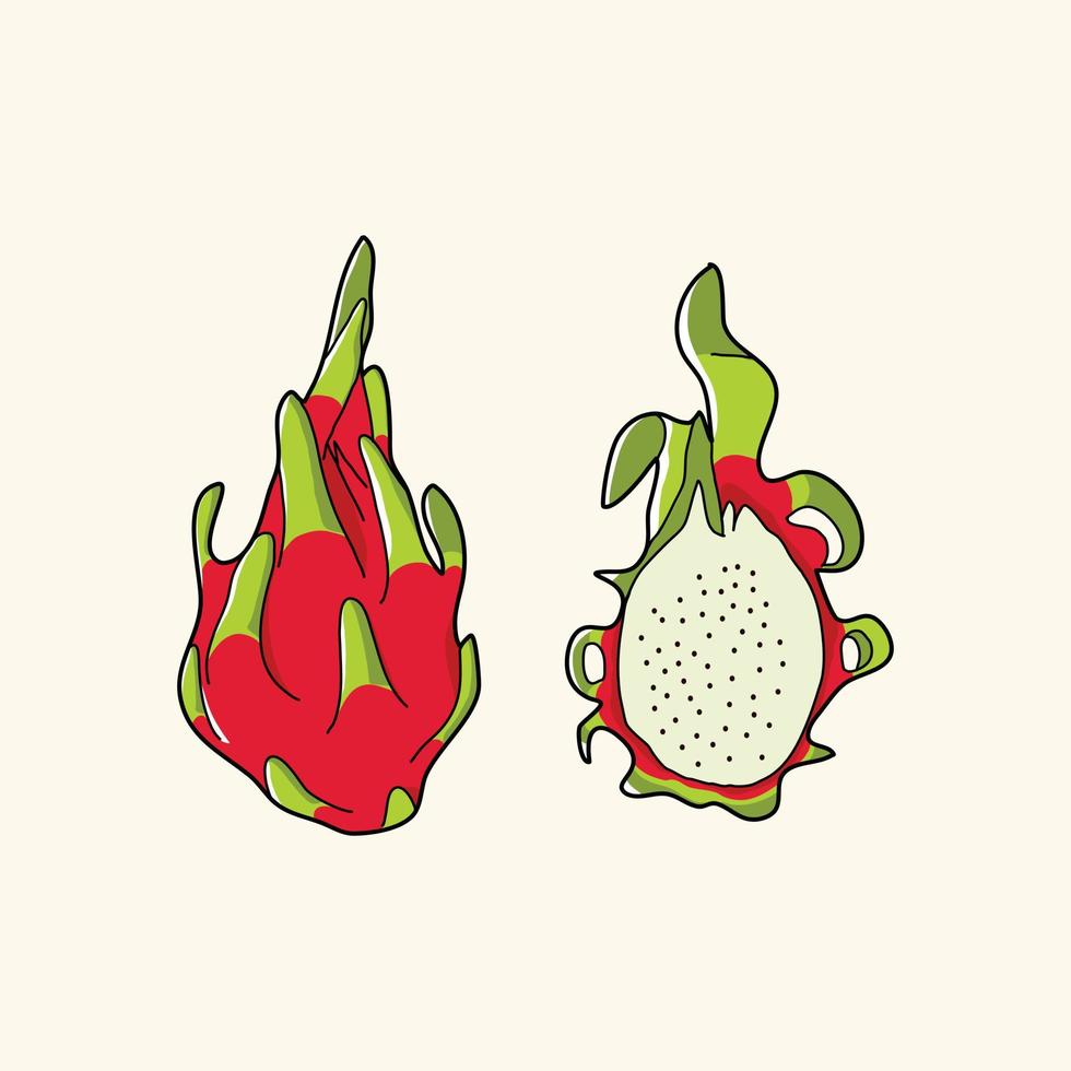 illustrazione vettoriale di frutta del drago