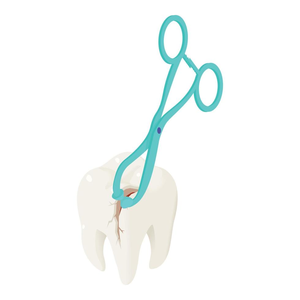 dente danno icona isometrico vettore. rotto umano dente vettore