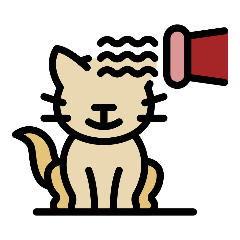 sposo gatto capelli asciugatrice icona colore schema vettore