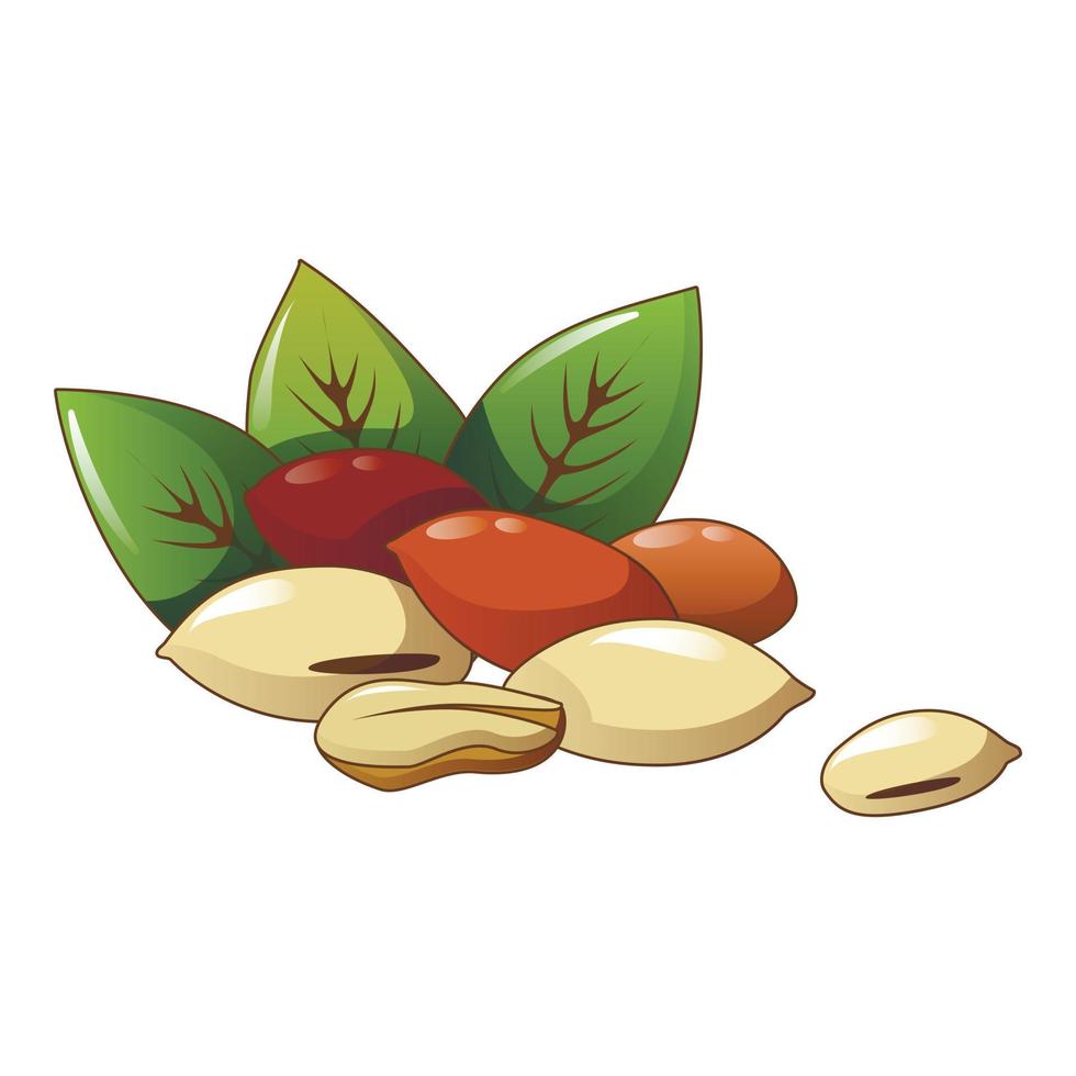eco arachide icona, cartone animato stile vettore