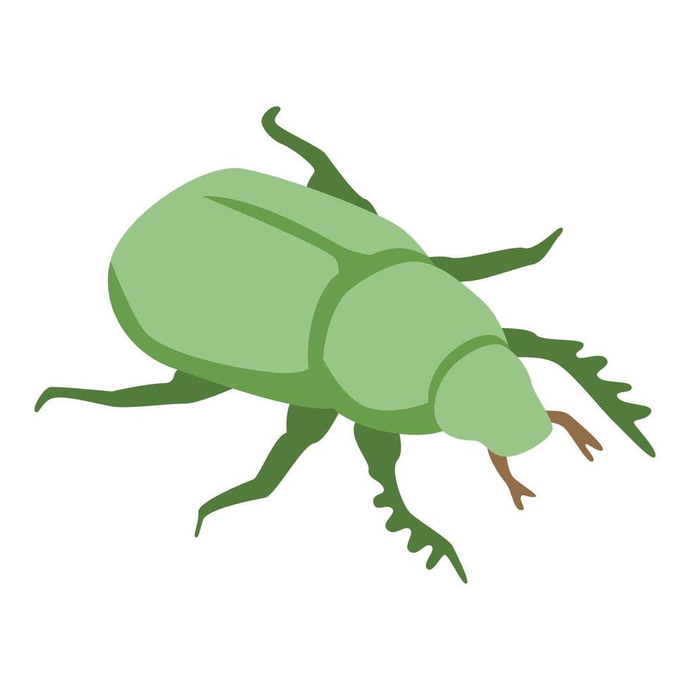 verde scarabeo icona, isometrico stile vettore