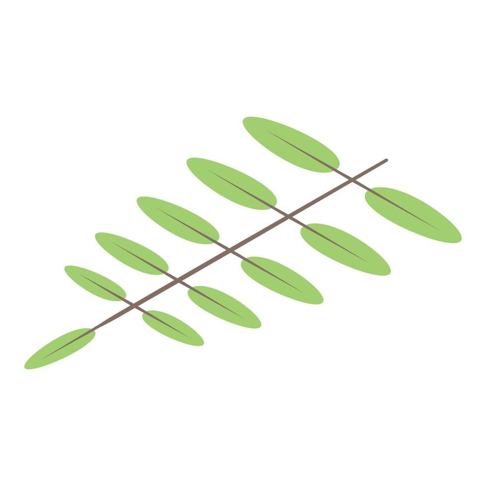 oliva albero ramo icona, isometrico stile vettore