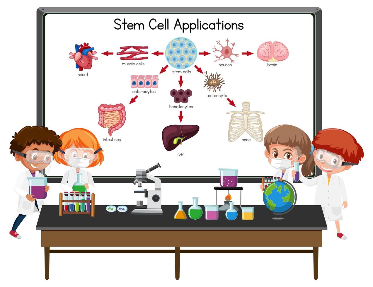 molti giovani scienziati spiegano l'applicazione delle cellule staminali davanti a una lavagna con elementi di laboratorio vettore
