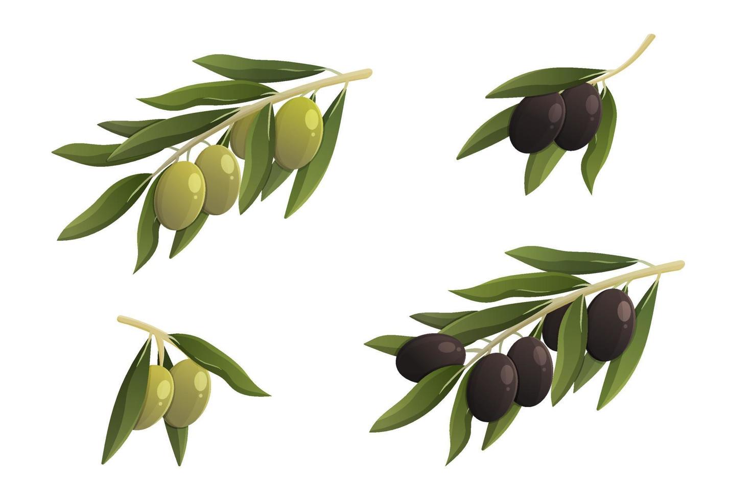 nero e verde oliva rami con le foglie. isolato vettore illustrazione