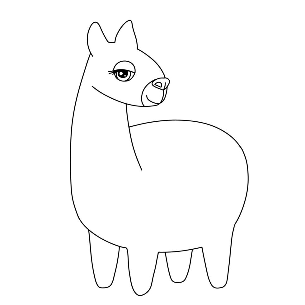 linea alpaca ragazza. schema illustrazione isolato bianca. divertente lama animale per infantile colorazione libro vettore