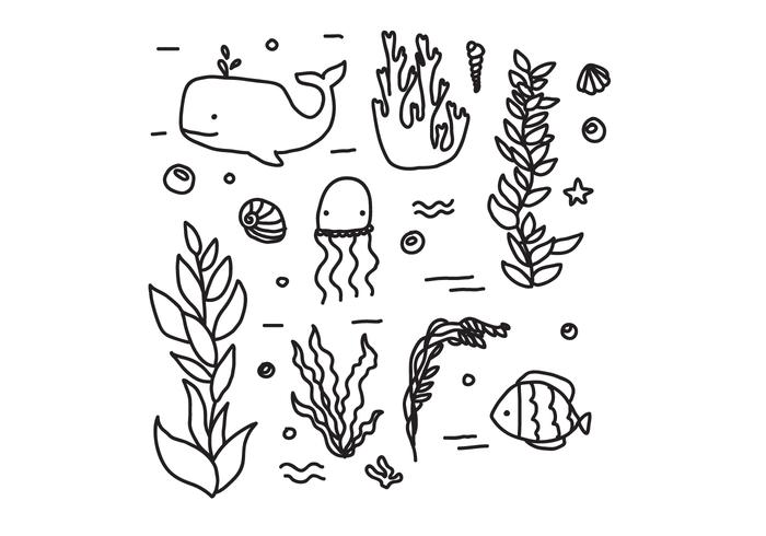 Vettori di fauna e flora dei mari